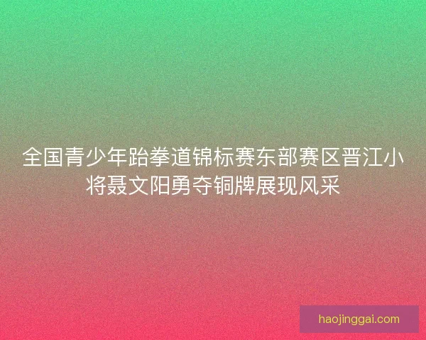 全国青少年跆拳道锦标赛东部赛区晋江小将聂文阳勇夺铜牌展现风采