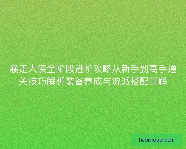 暴走大侠全阶段进阶攻略从新手到高手通关技巧解析装备养成与流派搭配详解