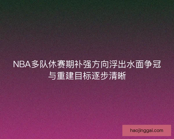 NBA多队休赛期补强方向浮出水面争冠与重建目标逐步清晰
