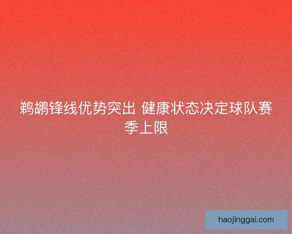 鹈鹕锋线优势突出 健康状态决定球队赛季上限