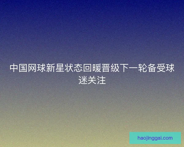 中国网球新星状态回暖晋级下一轮备受球迷关注